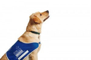 10981440_784600834960618_4147134734110626855_n