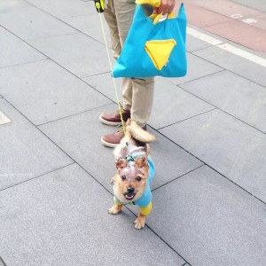 23042752139_0e5a5cfb4c_b