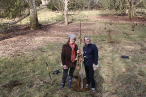 (C) Melanie Whitrow (3)