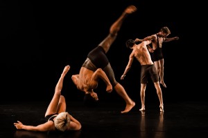 MPMG IF 2014, Casus Circus, 2