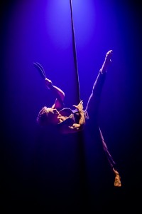 MPMG IF 2014, Casus Circus