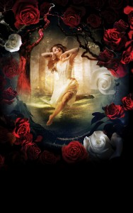 brochure_autumn winter 2012:Layout 1