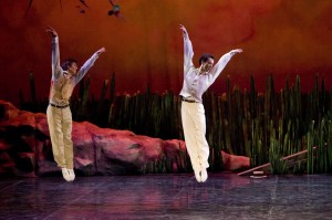 Northern Ballet's David Ward and Tobias Batley in Swan Lake. Photo by Bill Cooper. copy