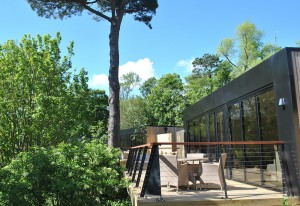 Port Lympne Treehouse