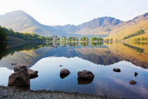 buttermer daw_4 print